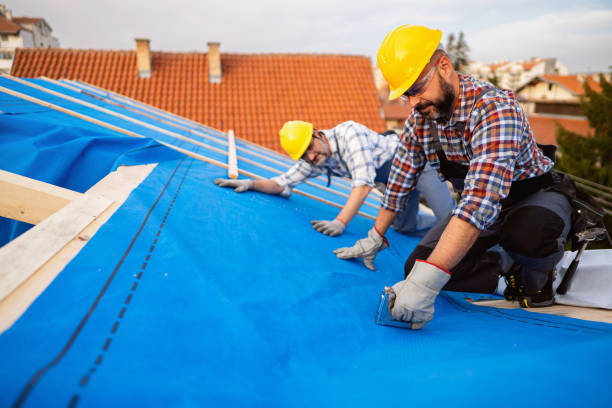 Best Metal Roofing Contractor  in Altamont, KS